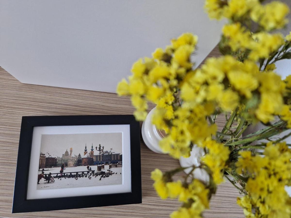 Central Skystudio Apartment Timisoara Luaran gambar