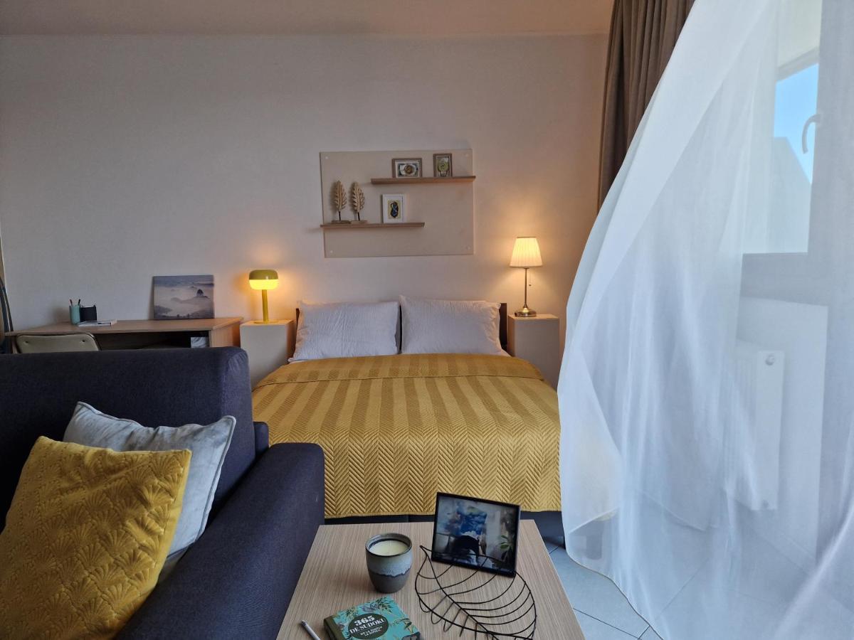 Central Skystudio Apartment Timisoara Luaran gambar