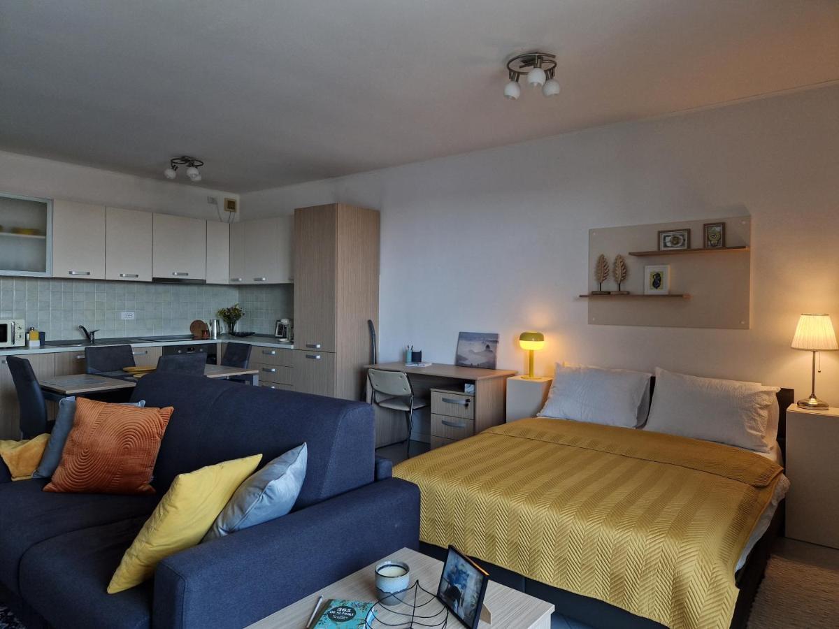 Central Skystudio Apartment Timisoara Luaran gambar
