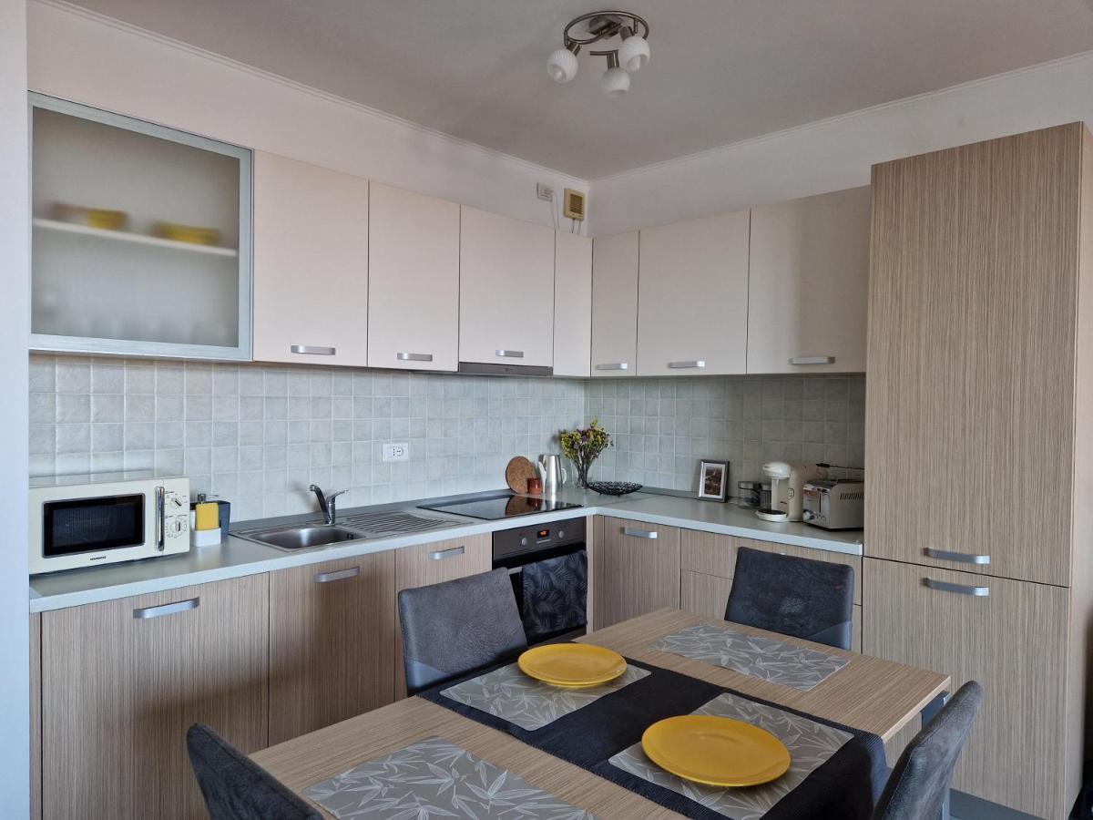 Central Skystudio Apartment Timisoara Luaran gambar