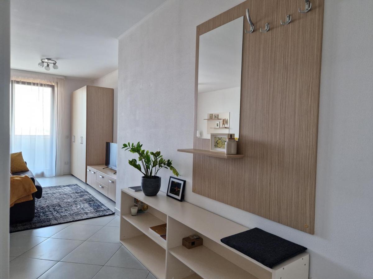 Central Skystudio Apartment Timisoara Luaran gambar