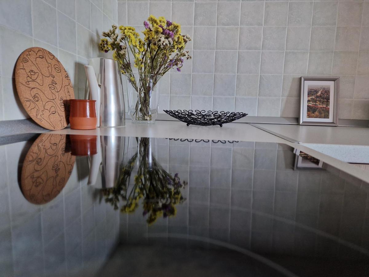 Central Skystudio Apartment Timisoara Luaran gambar