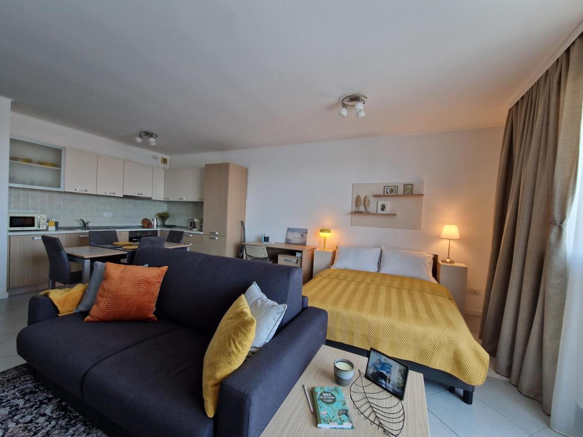 Central Skystudio Apartment Timisoara Luaran gambar