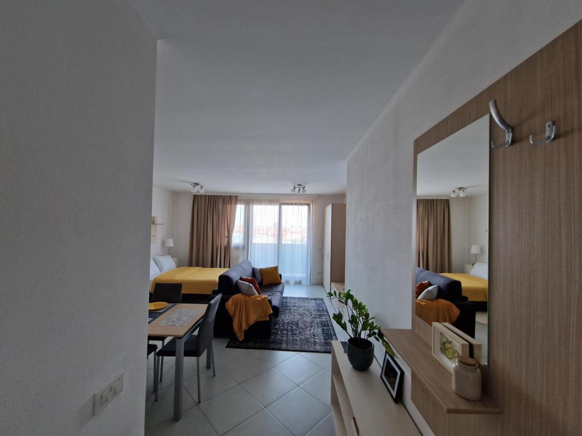 Central Skystudio Apartment Timisoara Luaran gambar